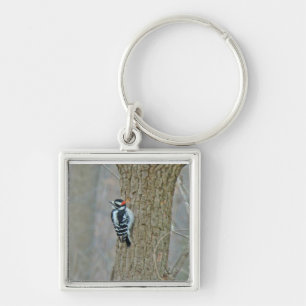 Downy Woodpecker Items Sleutelhanger