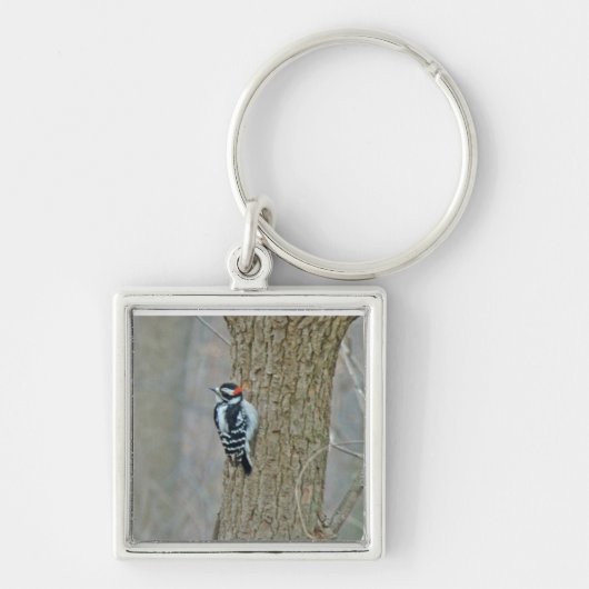 Downy Woodpecker Items Sleutelhanger (Voorkant)