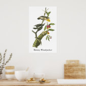 Downy Woodpecker - John Audubon Poster (Keuken)
