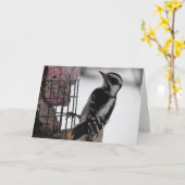 Downy Woodpecker Kaart (Gele Bloem)