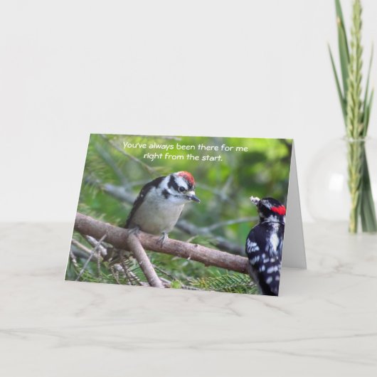 Downy Woodpecker Kaart voor een ouder of voogd (Voorkant)