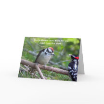 Downy Woodpecker Kaart voor een ouder of voogd