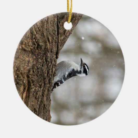Downy Woodpecker | Keramisch Ornament (Voorkant)