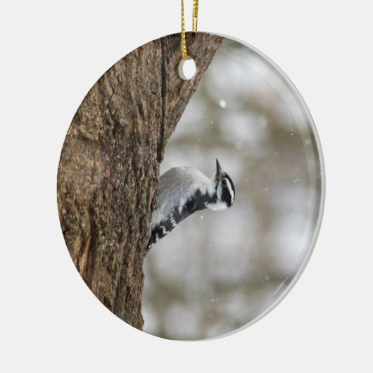 Downy Woodpecker | Keramisch Ornament (Links)