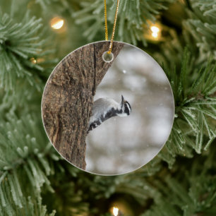 Downy Woodpecker   Keramische siervoorwerpen Keramisch Ornament