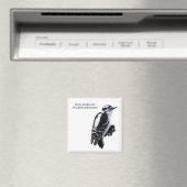 Downy Woodpecker Magneet (Insitu (Vaatwasser))