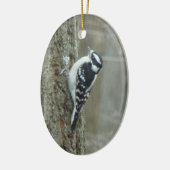 Downy Woodpecker Male & Vrouw Ornament (Links)