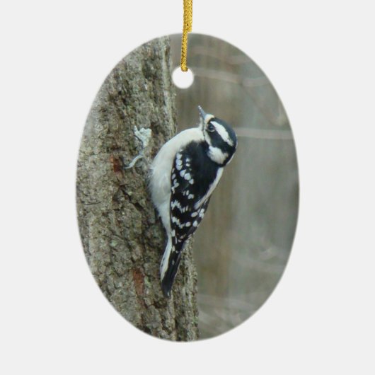 Downy Woodpecker Male & Vrouw Ornament (Voorkant)