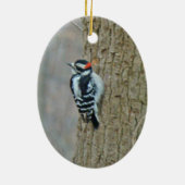 Downy Woodpecker Male & Vrouw Ornament (Achterkant)