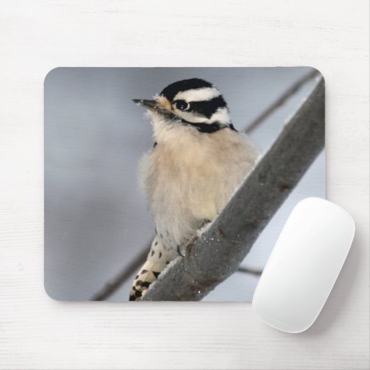Downy Woodpecker Mousepad Muismat (Met muis)