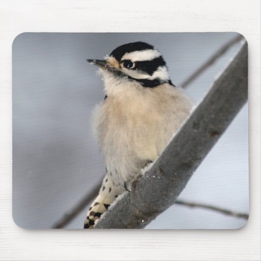 Downy Woodpecker Mousepad Muismat (Voorkant)