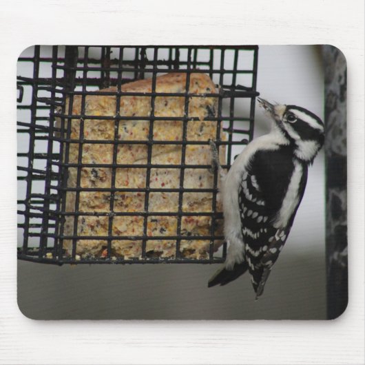 Downy Woodpecker mousepad Muismat (Voorkant)