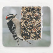 Downy Woodpecker Mousepad Muismat (Voorkant)