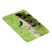 Downy Woodpecker op boomstronk magneet (Rechterzijde)