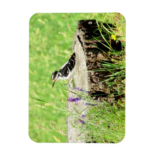 Downy Woodpecker op boomstronk magneet (Verticaal)
