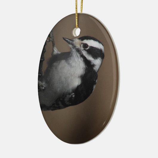 Downy Woodpecker ornament (Links)