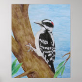 Downy Woodpecker Poster (Voorkant)