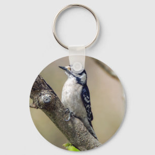 Downy Woodpecker Sleutelhanger
