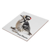 Downy Woodpecker Tegeltje (Zijkant)