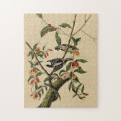 Downy Woodpecker - van de Amerikaanse vogels van A Legpuzzel (Verticaal)