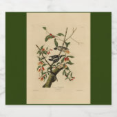 Downy Woodpecker - van de Amerikaanse vogels van A Sparkling Wijnetiket (Enkel label)