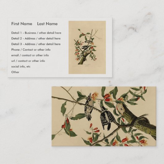 Downy Woodpecker - van de Amerikaanse vogels van A Visitekaartje (Voorkant / Achterkant)