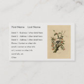 Downy Woodpecker - van de Amerikaanse vogels van A Visitekaartje (Voorkant)