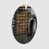 Downy Woodpecker-versiering Ornament (voorkant)