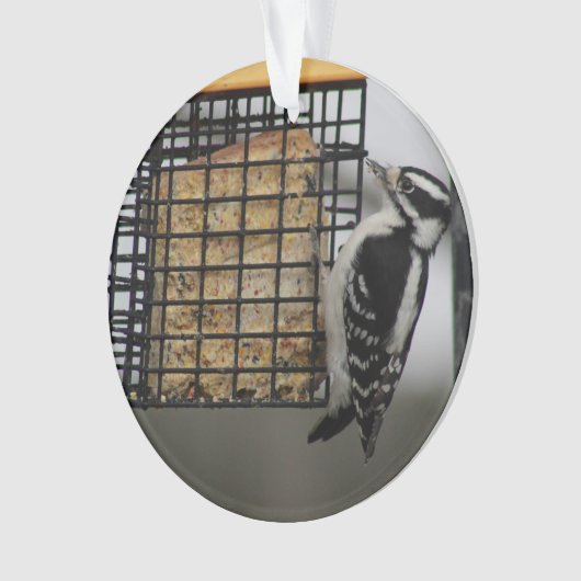 Downy Woodpecker-versiering Ornament (voorkant)