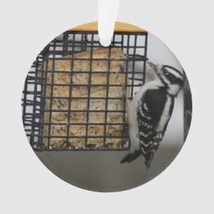 Downy Woodpecker-versiering Ornament