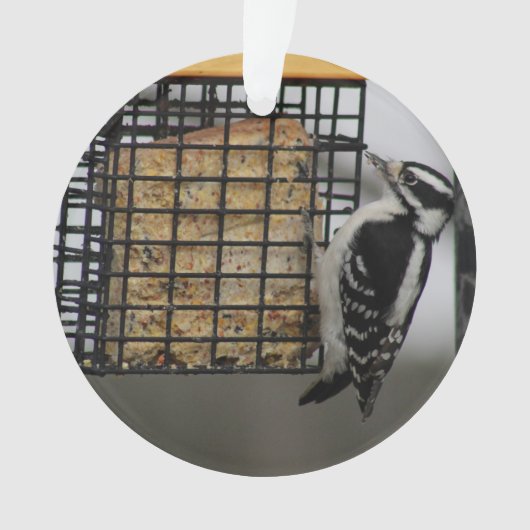 Downy Woodpecker-versiering Ornament (voorkant)
