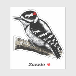 Downy Woodpecker vogel Custom-Cut Vinyl Sticker