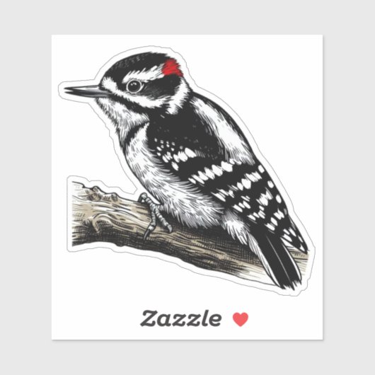 Downy Woodpecker vogel Custom-Cut Vinyl Sticker (Vel)