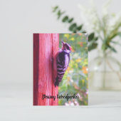 Downy Woodpecker Young Male Bird Canada Briefkaart (Staand voorkant)