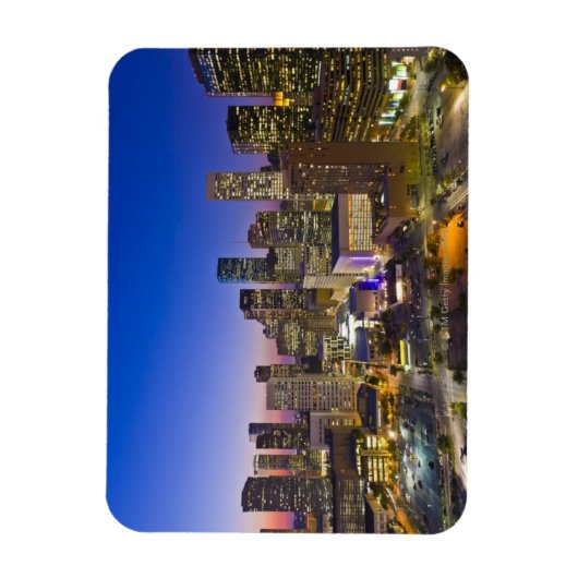 Dowtown Houston Magneet (Verticaal)