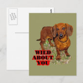 Doxi Lover Briefkaart (Voorkant / Achterkant)