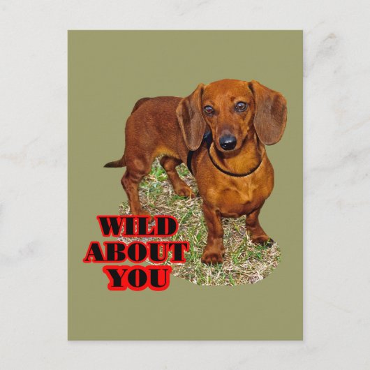 Doxi Lover Briefkaart (Voorkant)