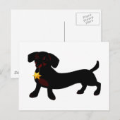 Doxie briefkaart (Voorkant / Achterkant)