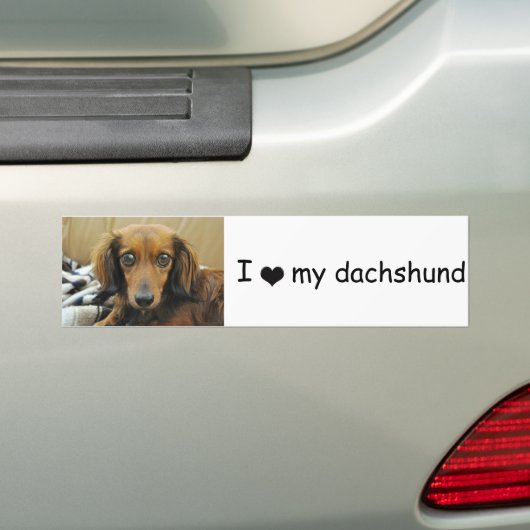 Doxie Bumpersticker (Op auto)