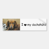 Doxie Bumpersticker (Voorkant)