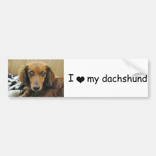 Doxie Bumpersticker (Voorkant)
