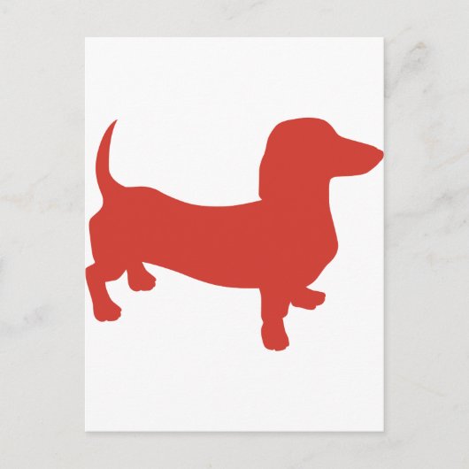 Doxie - Dacshund Briefkaart (Voorkant)