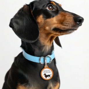 Doxie hondenliefde - Schattige klein teckel Huisdierpenning