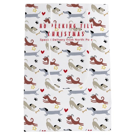 Doxie Merry & Bright Teckel Kerstmis Medium Cadeauzakje (Achterkant)