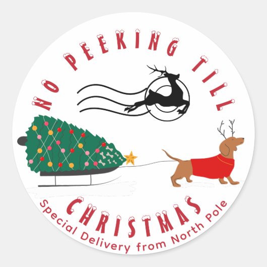 Doxie Merry & Bright Teckel Kerstmis Ronde Sticker (Voorkant)