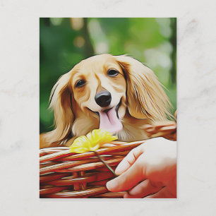 Doxie-persoon die een ventilator naar een dachshun briefkaart