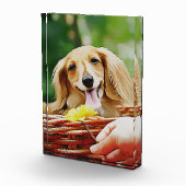 Doxie-persoon die een ventilator naar een dachshun fotoblokken (Rechts)