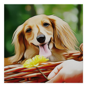 Doxie-persoon die een ventilator naar een dachshun perfect poster