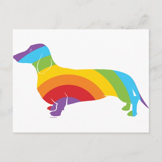 Doxie regenboogverbinding briefkaart (Voorkant)