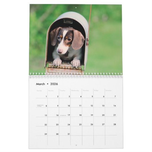 Doxies Kalender (Mar 2026)